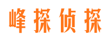 翔安市调查公司